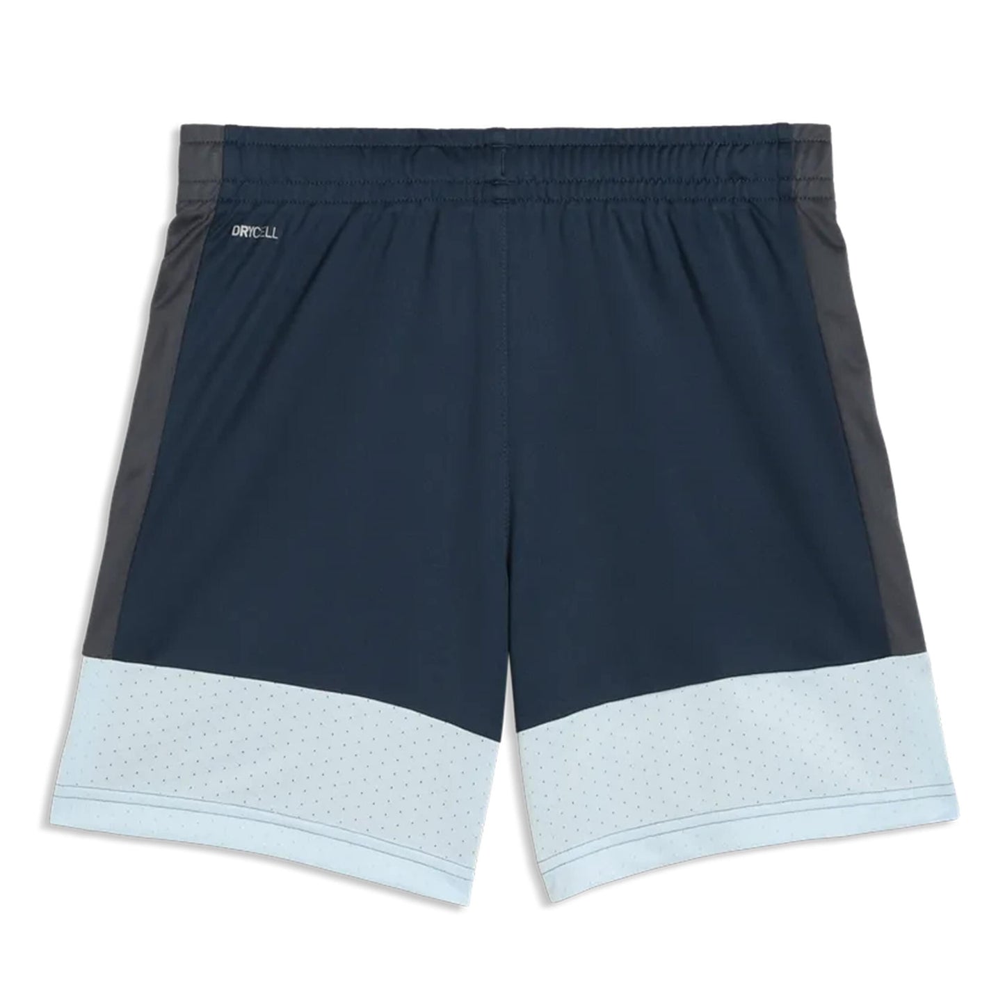 Puma IndividualLIGA TRG Shorts Jr Mineral Cobalt