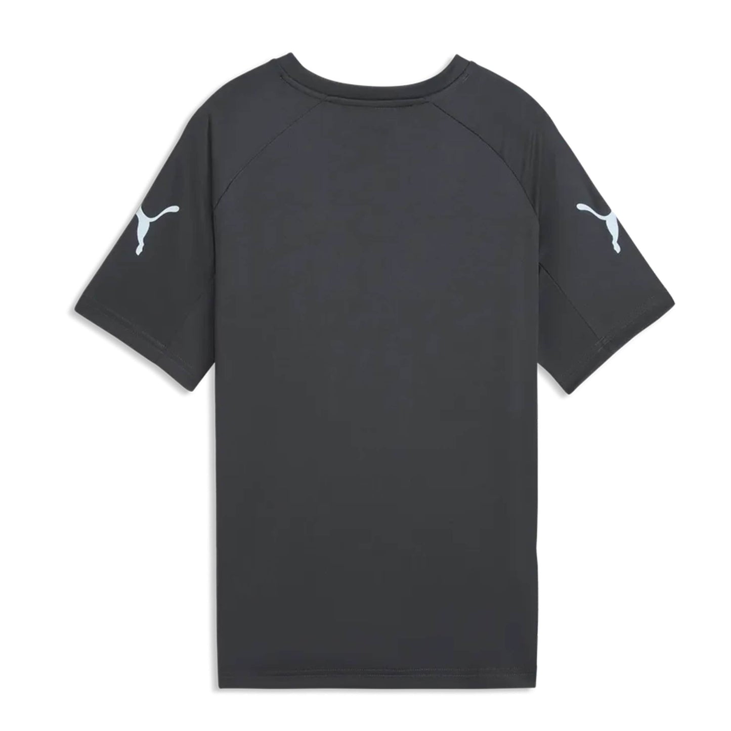 Puma individualLIGA Graphic Jersey Jr Mineral Cobalt