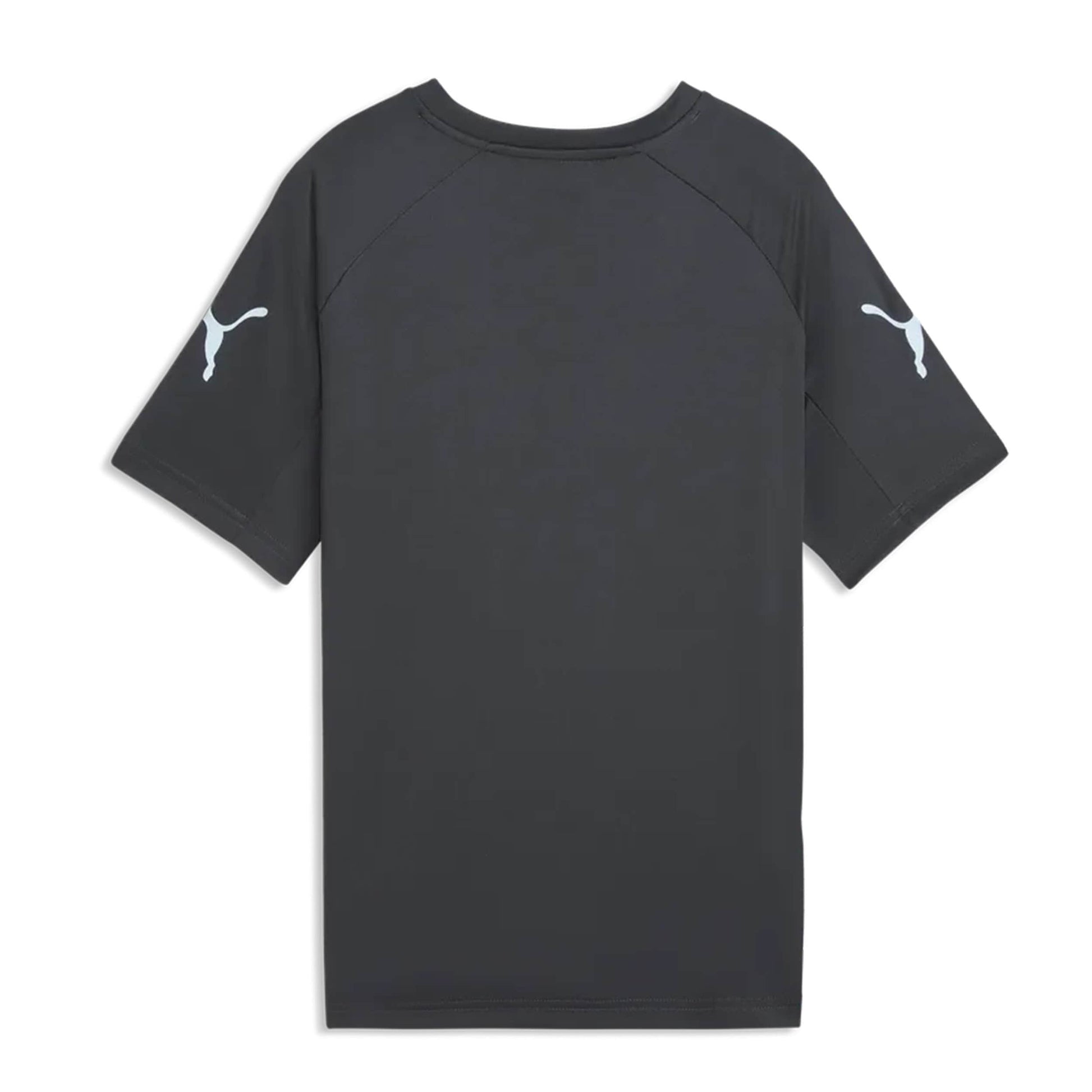 Puma individualLIGA Graphic Jersey Jr Mineral Cobalt